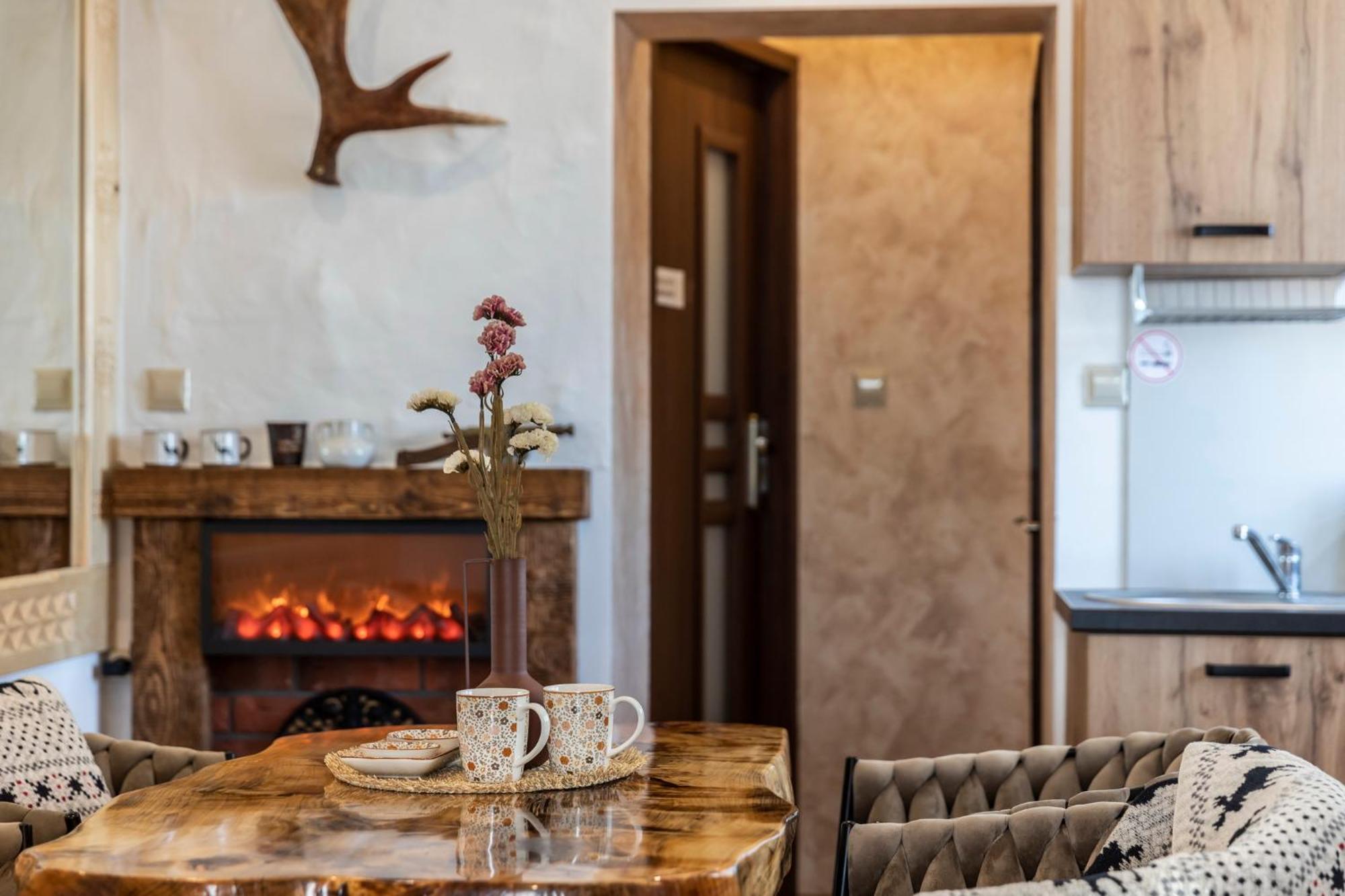Willa Chwost Pokoje & Apartamenty W Bialym Dunajcu W Poblizu Zakopanego I Term ビャウィ・ドゥナイェツ エクステリア 写真